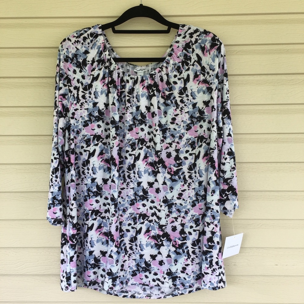 Croft and Barrow Top